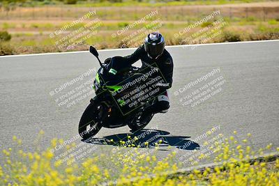 media/May-10-2024-2WTD (Fri) [[c88d7990af]]/Group C/Session 2-The Bowl/